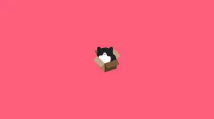 Cat In Box Minimalist Design Hd Wallpaper