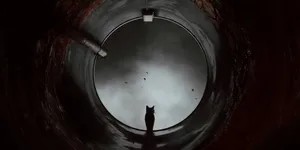 Cat_in_ Circular_ Frame Wallpaper