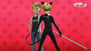 Cat Noir And Adrien Wallpaper