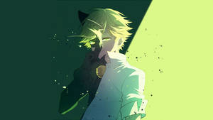 Cat Noir Dual Personality Wallpaper