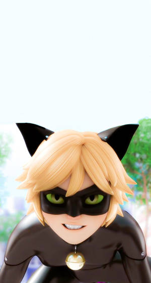 Cat Noir Fierce Look Wallpaper