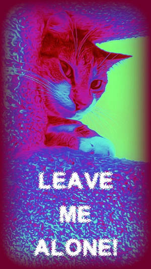 Cat With Leave Me Alone Text Wallpaper