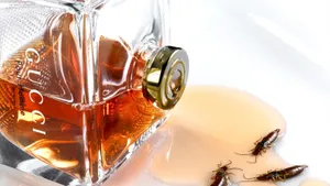 Catch A Sweet Whiff Of The Spring Air Wallpaper