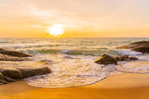 Catch The Perfect Moment - View Of Sunset Wave Wallpaper