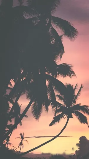 Catch This Serene Aesthetic Sunset On Your Iphone Wallpaper