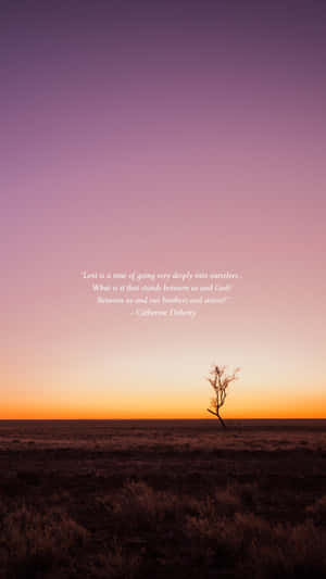 Catholic Aesthetic Solitude Quote Wallpaper