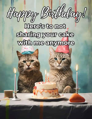 Cats Celebrating Birthday Humor Wallpaper