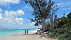 Cayman Island Award-winning Beach Wallpaper