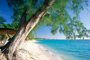 Cayman Island George Town Wallpaper