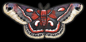 Cecropia Moth Spread Wings Wallpaper