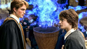 Cedric Diggory And Harry Potter Wallpaper
