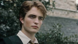 Cedric Diggory Character Profile Wallpaper
