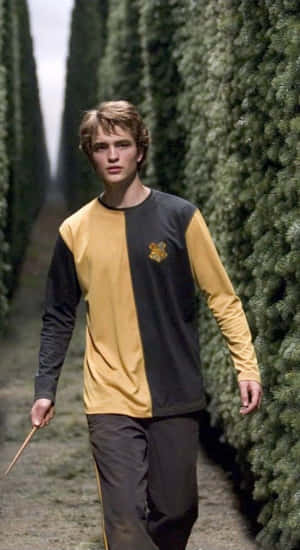 Cedric Diggory In Hufflepuff Wallpaper