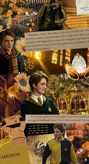 Cedric Diggory Tribute Wallpaper