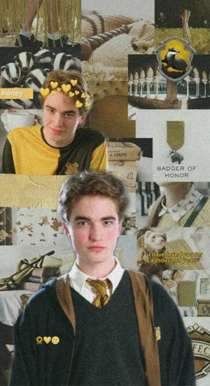 Cedric Diggory Tribute Wallpaper