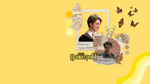 Cedric Diggory Tribute Art Wallpaper
