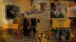 Cedric Diggory Tribute Wallpaper