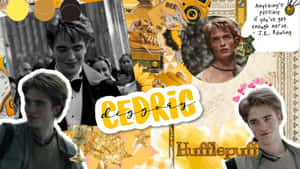 Cedric Diggory Tribute Wallpaper