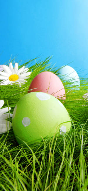 Celebrate Easter In Style With An Easter Phone Wallpaper