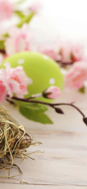 Celebrate Easter With A Cute Bunny Iphone Cover Wallpaper