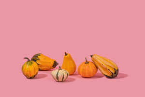 Celebrate Fall With A Pink Pumpkin Wallpaper