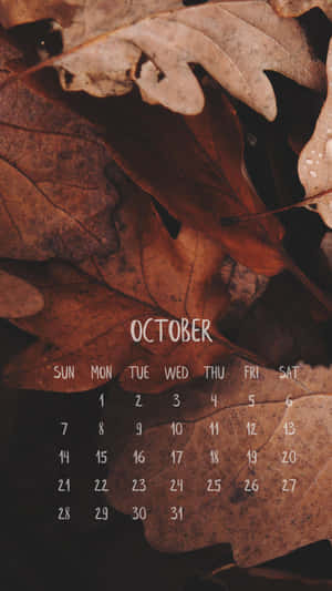 Celebrate Fall With A Pumpkin Wallpaper