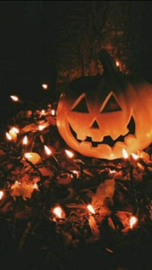 Celebrate Halloween With A Festive Jack-o'-lantern Wallpaper