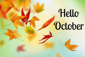 Celebrate October With A Pumpkin Wallpaper