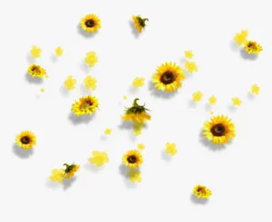 Celebrate The Beauty Of A Sunflower Yellow Summer Day With This Adorable Tumblr Aesthetic Wallpaper