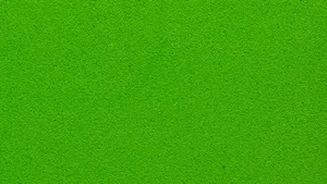 Celebrate The Beauty Of Nature With A Modern Solid Green Backdrop. Wallpaper