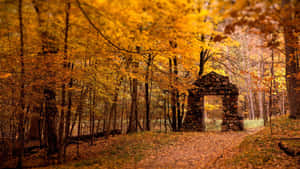 Celebrate The Changing Season With This Lively Fall Autumn Desktop Wallpaper Wallpaper