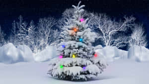 Celebrate The Season Of Joy With This Festive Christmas Winter Scene. Wallpaper