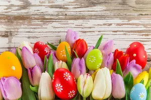 Celebrate The Splendor Of Easter With Colorful Eggs And Tulips Wallpaper
