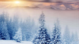 Celebrate The Warm And Cozy Vibes Of The Winter Season With A Beautiful Pastel Christmas! Wallpaper