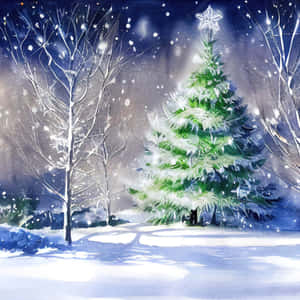 Celebrate The Wonders Of Winter This Christmas Wallpaper