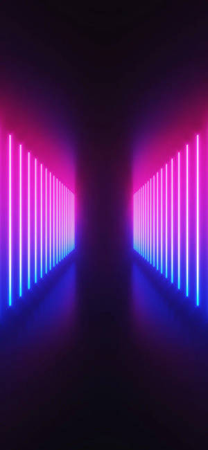 Celebrating Bisexuality With Neon Lights Wallpaper