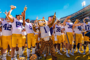 Celebrating Lsu Football's Impressive Record Wallpaper