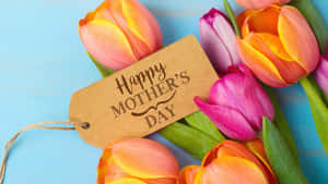 Celebrating Motherhood This Mothers Day! Wallpaper