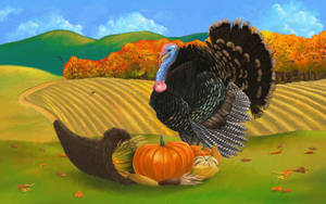 Celebrating Thanksgiving In Turkey In Style! Wallpaper