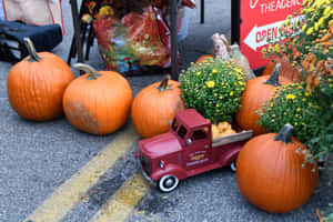 Celebrating The Vibrant Colors Of Fall Festival Wallpaper