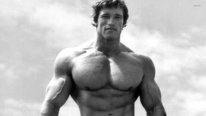 Celebrity Arnold Schwarzenegger Grayscale Sky Wallpaper