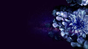 Celestial Bloom - Purple Flower In Space Wallpaper