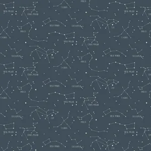 Celestial Constellations In Night Sky Wallpaper