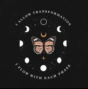 Celestial Transformation Butterfly Art Wallpaper