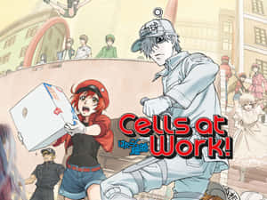 Cells_ At_ Work_ Anime_ Poster Wallpaper