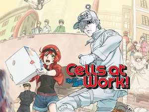 Cells_ At_ Work_ Anime_ Poster Wallpaper