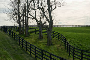 Central Kentucky Farm Wallpaper