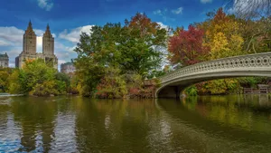 Central Park Lake With Bridge Wallpaper