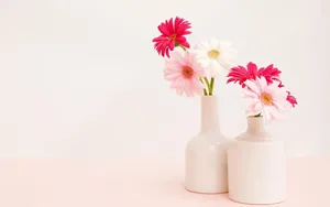 Ceramic Flower Vase With Flowers Wallpaper