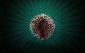 Cerebral Abstract Art Illustration Wallpaper